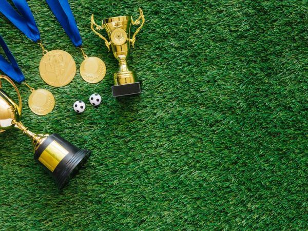 Troféus para campeonato de futebol: escolha o modelo ideal